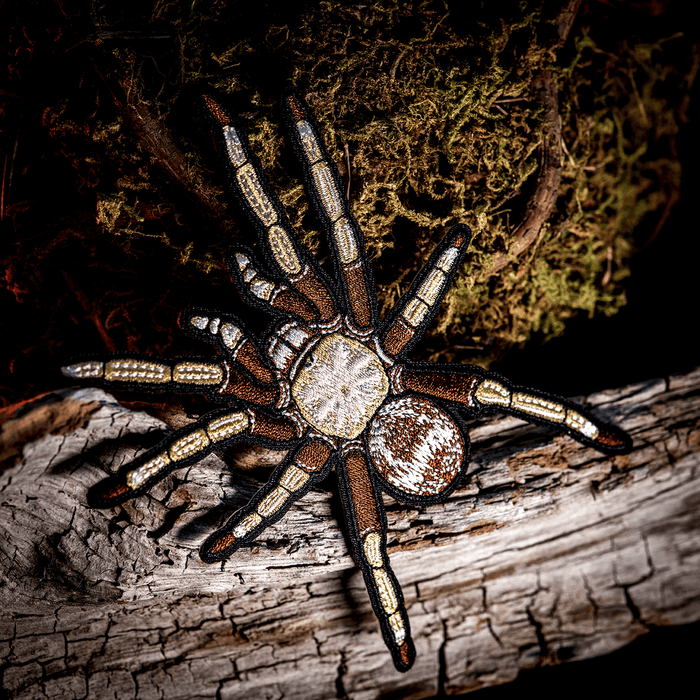 Arizona Blonde Tarantula Iron - on Patch by The Roving House