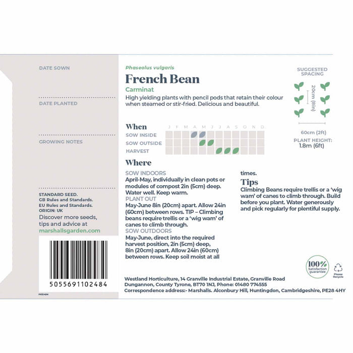 French Bean Climbing Seeds 'Carminat'