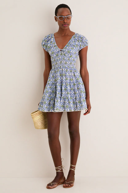 Cornflower Asterid Mini Dress
