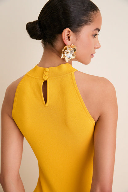 Pineapple Isola Maxi Dress
