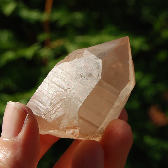 Pink Shadow Smoky Lemurian Seed Quartz Crystal Starbrary