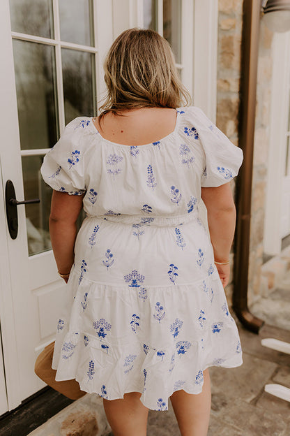 Botanical Moment Embroidered Mini Dress Curves