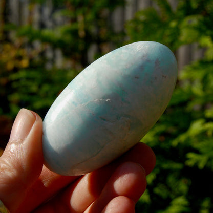 Caribbean Blue Calcite Crystal Palm Stone