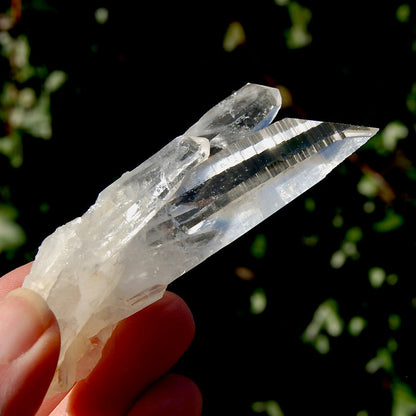 Lemurian Seed Quartz Crystal Cluster