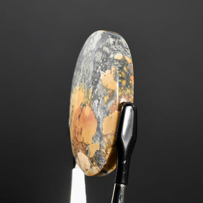 Maligano Jasper Cabochon