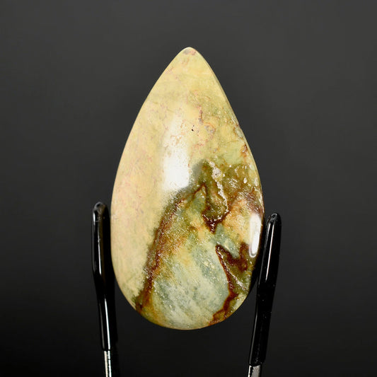 Picture Jasper Cabochon