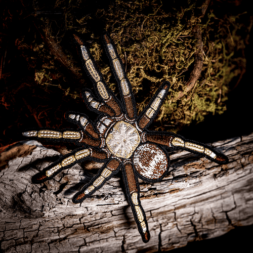 Arizona Blonde Tarantula Iron - on Patch by The Roving House