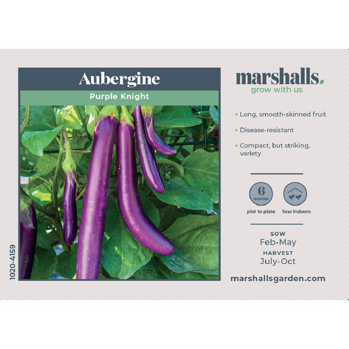 Aubergine Seeds 'Purple Knight'