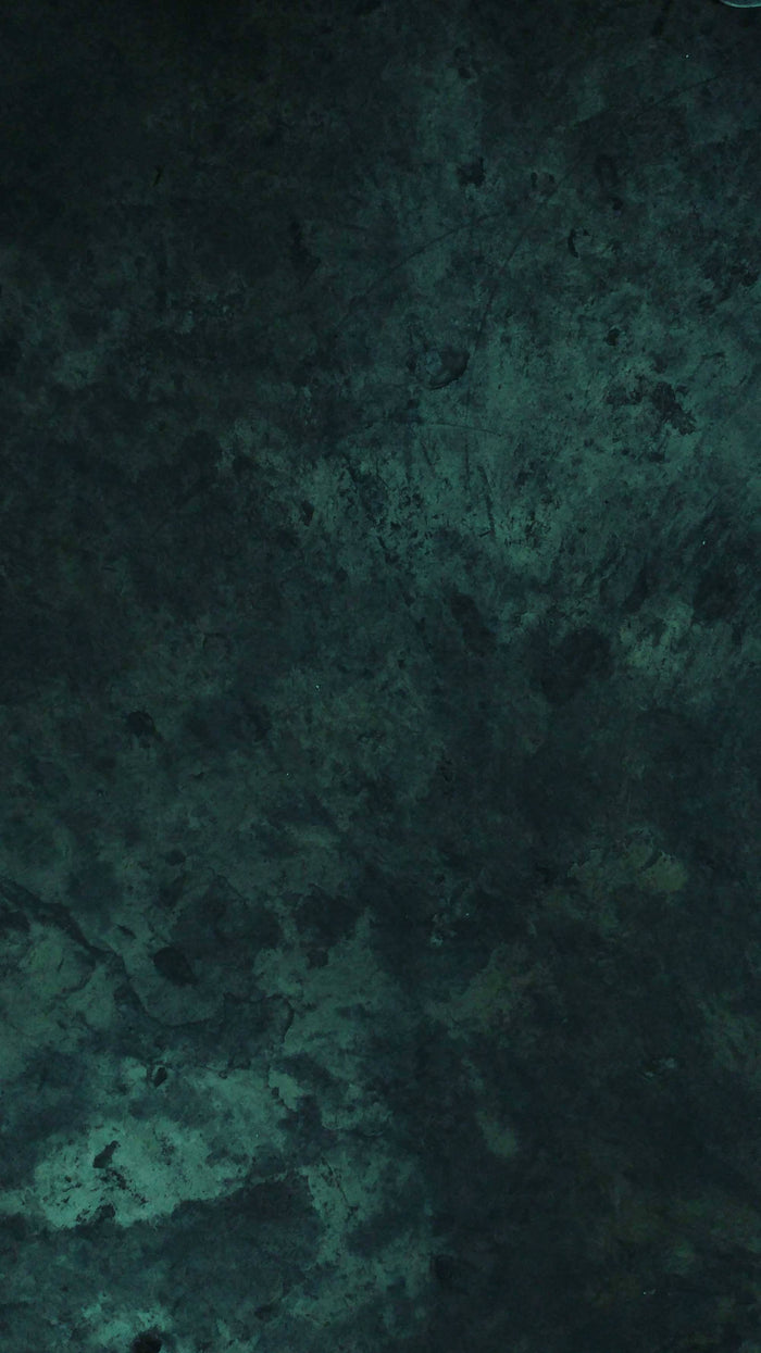 Dark Green Printed Old Master White Little Green Texture Backdrop Shopbackdrop