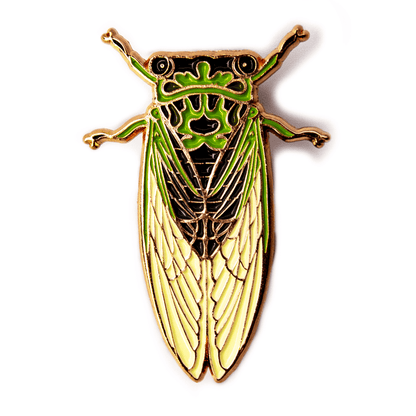An enamel pin of a green, black, and copper colored annual dog day cicada.