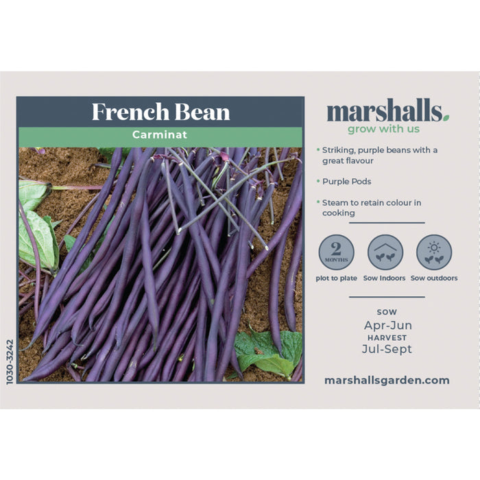 French Bean Climbing Seeds 'Carminat'