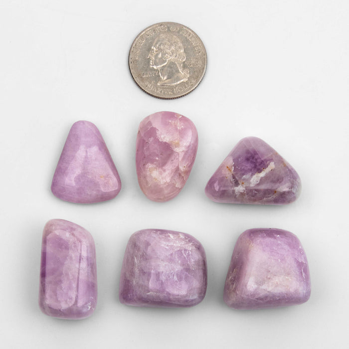 Kunzite, Pink - Tumbled Stone(s)