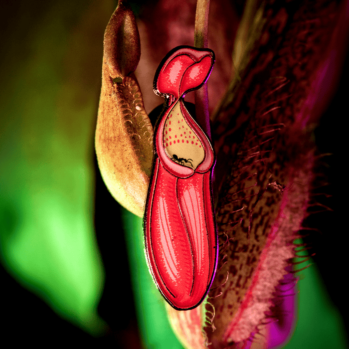 Nepenthes Sanguinea Pitcher Plant Enamel Pin by The Roving House