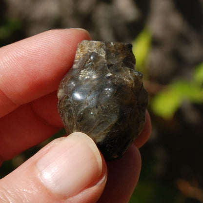 ONE 1.25" Labradorite Anatomical Heart Realistic Crystal Carving