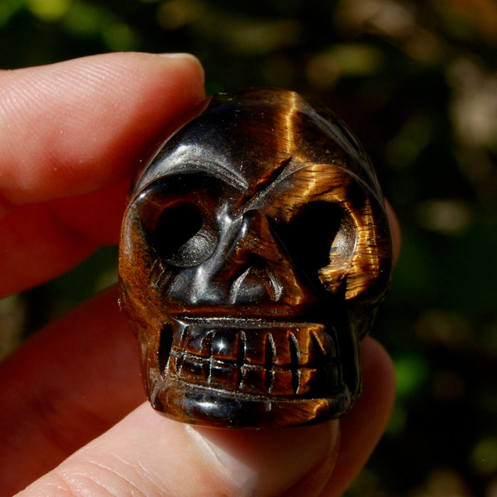 Tiger Eye Carved Crystal Skull