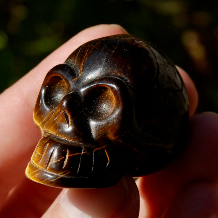 Tiger Eye Carved Crystal Skull