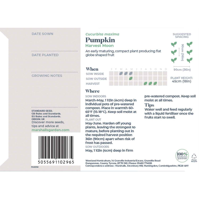 Pumpkin Seeds 'Harvest Moon'