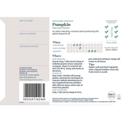 Pumpkin Seeds 'Harvest Moon'