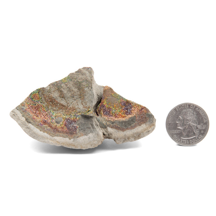 Rainbow Pyrite