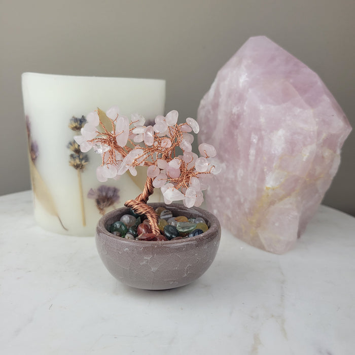 Rose Quartz Gemstone Tree in Ceramic Bowl
