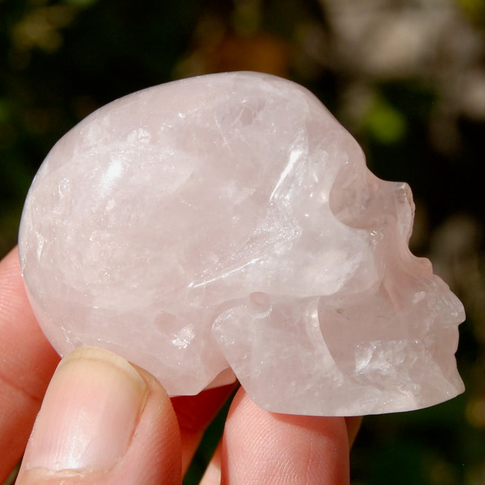 Gemmy Rose Quartz Crystal Skull