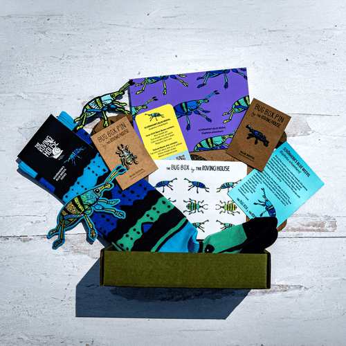 Schoenner's Blue Weevil Bug Box by The Roving House