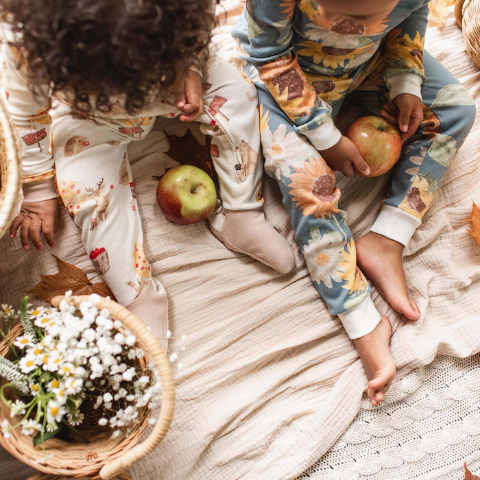 Sunflowers Sleep & Play: Mountain Blue / 0-3 Months