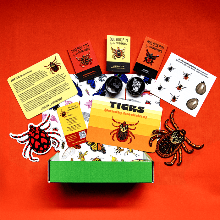 Tick Bug Box by The Roving House